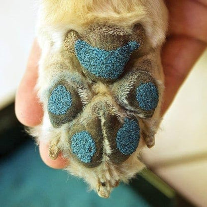 Instant Traction for Senior and Special Needs Dogs; Vet-Developed Paw Grip Kit to Reduce Slipping