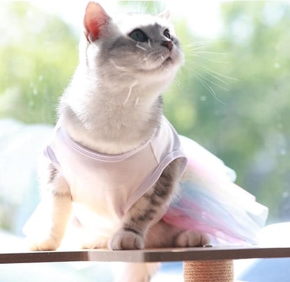 ANIAC White Dog Dress