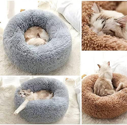 Geizire Cat Beds for Indoor Cats