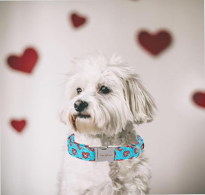 Unique Style Paws Valentine's Day Dog Collar Heart