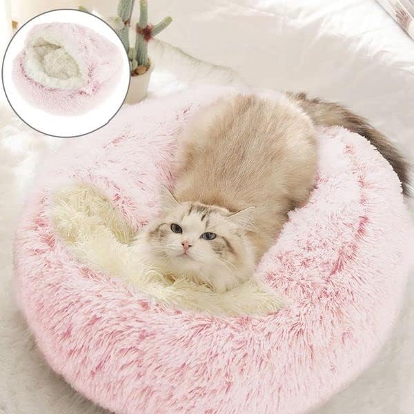 Geizire Small Dog Bed & Cat Bed