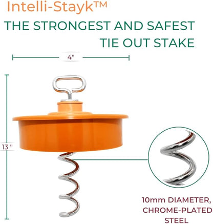 Intelli-Stayk: Tailored for Soft Soils – Specialized Tie