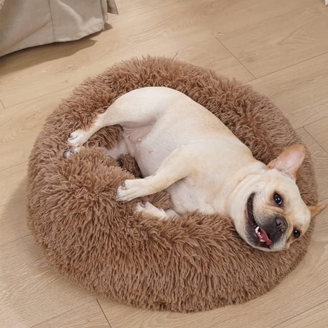 Geizire 24 inch Cat Bed Dog Bed for Cats