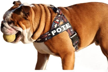 BULLHUG Harness – Made for Larger Chested Dogs Like English Bulldogs