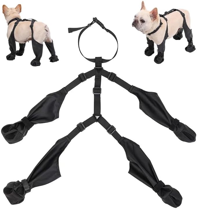 Dog Paw Boot Leggings