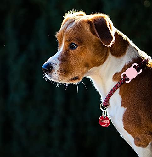 Air Tags-2 Pack Airtag Dog Collar Holder SWINCHO 1-3cm Width