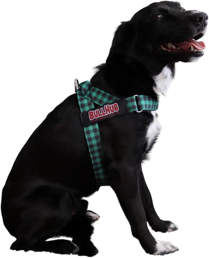 BULLHUG Harness – Made for Larger Chested Dogs Like English Bulldogs