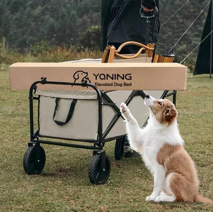 Elevated Dog Bed for Medium Dogs