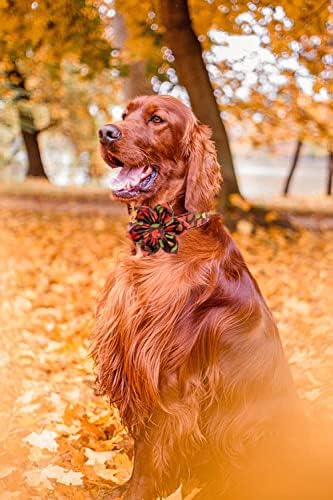 Unique style paws Fall Dog Collar with Bow