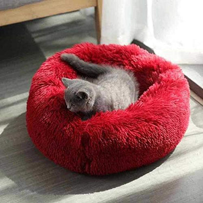 Geizire Cat Bed Dog Bed for Cats
