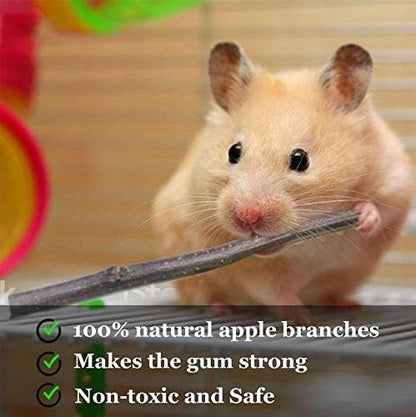 Natural Apple Sticks 18oz(500g) Small Animals Molar Wood Treats Toys Chinchilla Guinea Pig Hamster Rabbit Gerbil Parrot Bunny and Small Animals Chew Stick Toys Treats