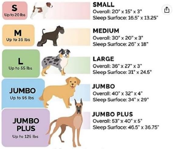 Furhaven Orthopedic Dog Bed for Large/Medium Dogs w/ Removable Bolsters & Washable Cover 55 lbs