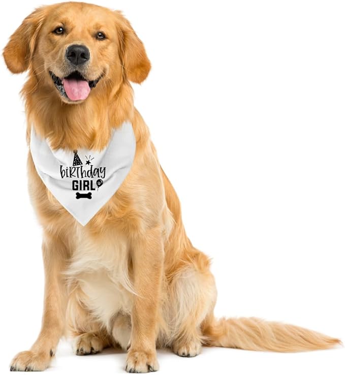 Dog Birthday Bandana (A21)
