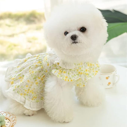 Floral Dog Princess Dress Cute Dog Skirt