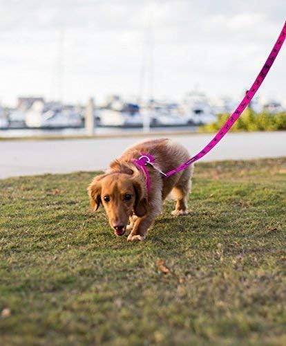 EcoBark Dog Leash - 4 FT / 5 FT / 6 FT Reflective Dog Leash- Eco-Bright Dog Leashes with Padded Handle - Strong Heavy Duty Dog Leash - Nylon Dog Leash for Small and Medium Dogs (Pink Dog Leash)