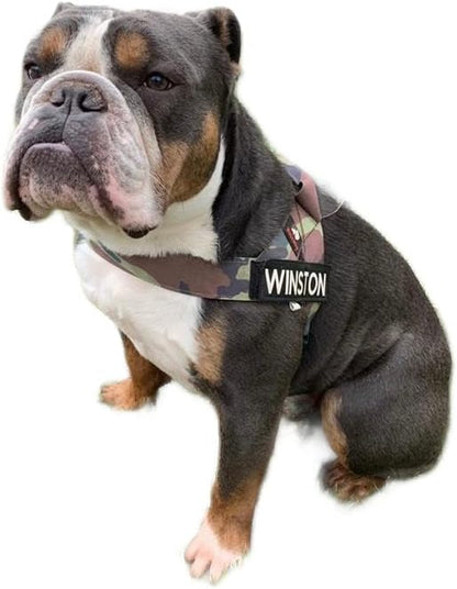 BULLHUG Harness – Made for Larger Chested Dogs Like English Bulldogs