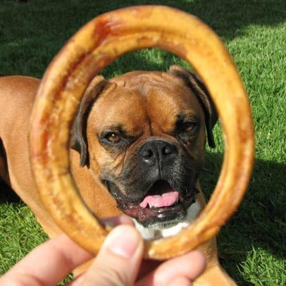 Pawstruck All-Natural 4" Bully Stick Rings for Dogs - Rawhide Free 100% Beef Single Ingredient Dental Chew Treat Bones - Fully Digestible Low Odor - Bulk 25 Pack - Packaging May Vary