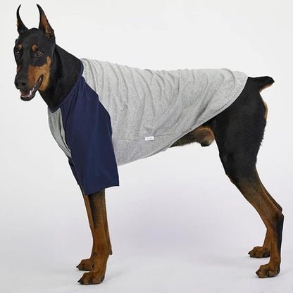 Dog Shirt for Small and Large Dogs Raglan Cotton T-Shirts Soft Breathable Dog Shirts pet Clothes Gray Series (2X-Large