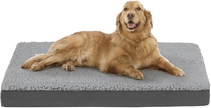 Friends Forever Orthopedic Dog Bed 44x32x3.5