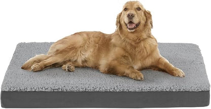 Friends Forever Orthopedic Dog Bed 44x32x3.5