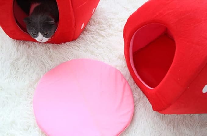 YML Strawberry Pet Bed House for Cats, Dogs, Kittens, Puppies, Rabbits, Medium, Red