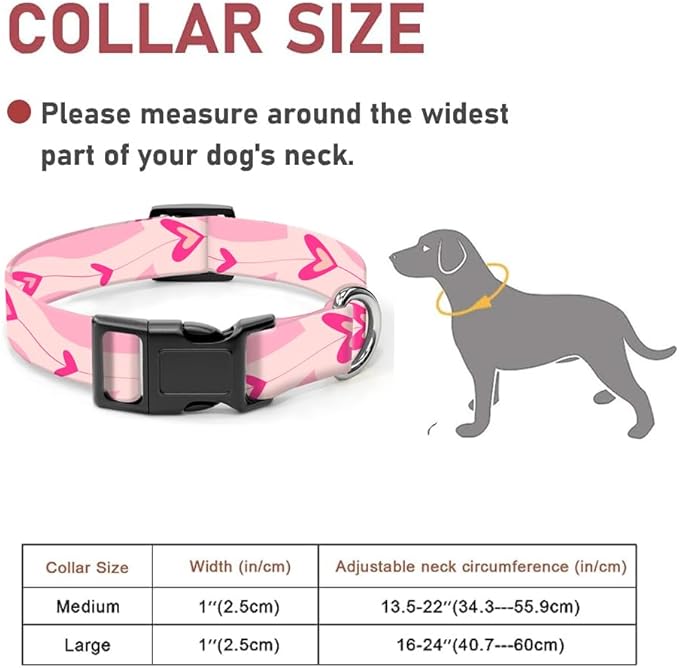 Dog Collar