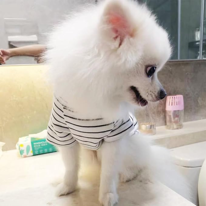ANIAC Cotton Dog Shirt Striped Pet T-Shirt with Sleeves Summer Dog Outfit Cat Shirt for Cat Only Puppy Clothes for Small Dog Girl Boy