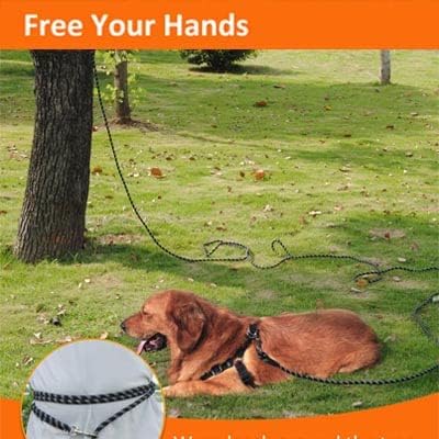 100FT Extra Long Dog Leash for Dog Training