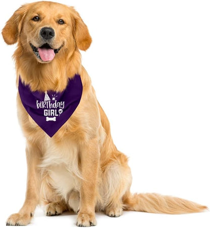 Dog Birthday Bandana (A22)