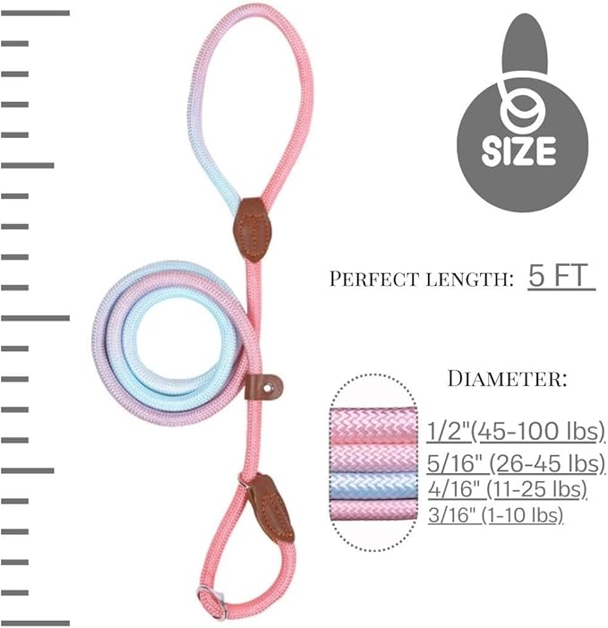 Slip Leads for Dogs (5 Foot 3/16")