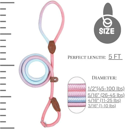 Slip Leads for Dogs (5 Foot 3/16")