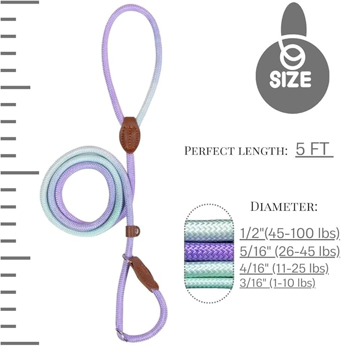 Slip Leads for Dogs (5 Foot 5/16")