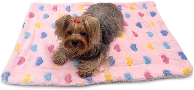 Klippo Double Layered Ultra Plush Dog/Puppy Blanket/Mat/Padding/Cover/Throw/Spread (Colorful Hearts - Pink, Small)