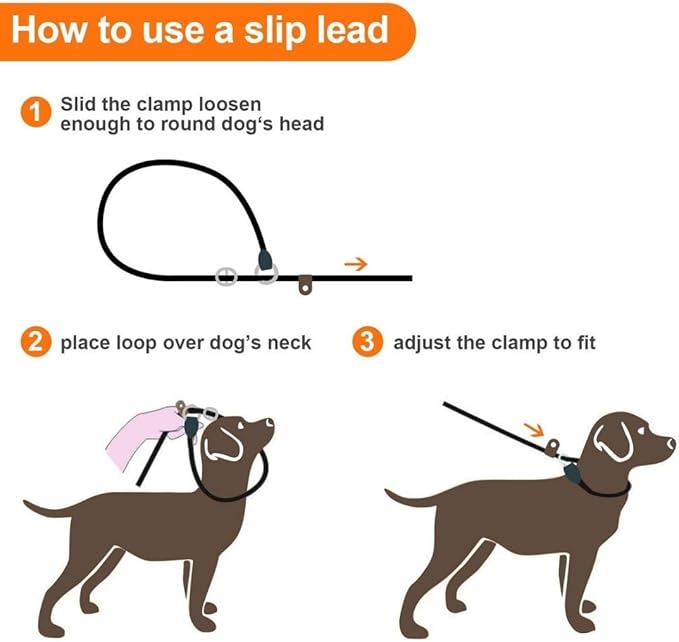 Slip Leads for Dogs (5 Foot 4/16")