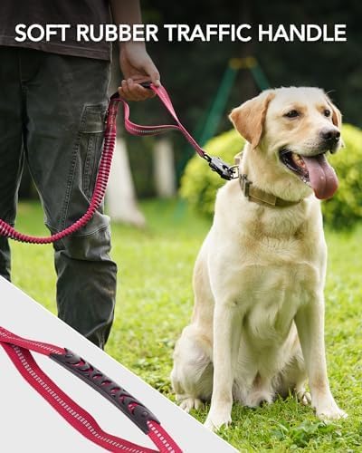 Joytale Tactical Dog Leash Heavy Duty 4-6FT Shock 2 Padded