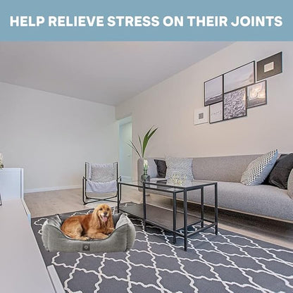 MICRODRY – Soft 18x24x7 inches,