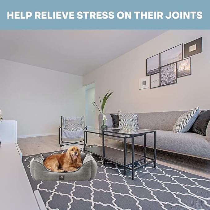 MICRODRY – Soft 20x26x8 inches,