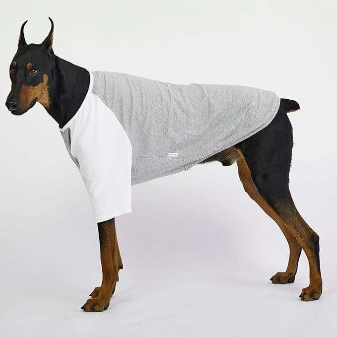 Dog Shirt for Small and Large Dogs Raglan Cotton T-Shirts Soft Breathable Dog Shirts pet Clothes Gray Series (3X-Large