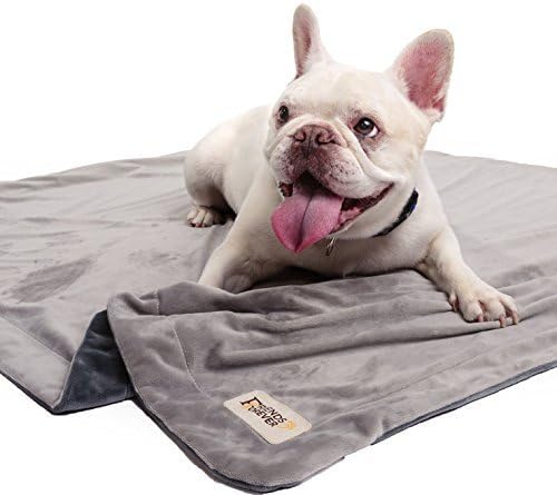 Friends Forever Durable Dog Blanket for Couch Protection, Two Tone Reversible Pet Hair Resistant Blanket for Dogs Cats Bed Kennel Crate Car Seat - Soft Velvet, Warm Fleece, Bailey 53" x 42"