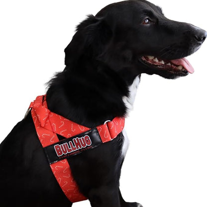 BULLHUG Harness – Made for Larger Chested Dogs Like English Bulldogs