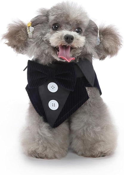 Puppy Velvet Tuxedo with Detachable Bowtie Prom Wedding Formal Wear Prince Costume for Small Dog (X-Large, Navy)