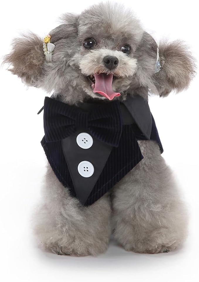 Puppy Velvet Tuxedo with Detachable Bowtie Prom Wedding Formal Wear Prince Costume for Small Dog (Medium, Navy)