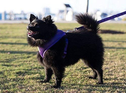 EcoBark Dog Leash - Soft & Reflective Comfort Training Leashes with Padded Handle - Strong Durable Heavy Duty - Training and Pulling for Small, Medium or Large Dogs (Purple)