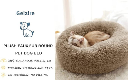 Geizire Cat Beds for Indoor Cats/Dog Beds for Small Dogs