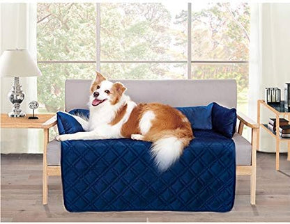 Brilliant Sunshine Premium Blue Silky Velvet Pet Sofa Bed