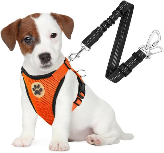 SlowTon Dog Seat Belt Harness for Car, Dog Car Harness Adjustable Mesh Breathable & Dog Seatbelt Safety Tether with Elastic Bungee for Small Medium Large Pets(Orange, Double Clip, S)