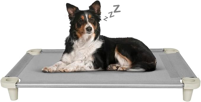 Acrimet Cooling Elevated Pet Dog Bed Cot, Washable and Breathable Mesh Fabric, Stainless Steel Frame, Indoor & Outdoor Use, (Size: 40”x 24”) (Gray Color) (1 Unit)