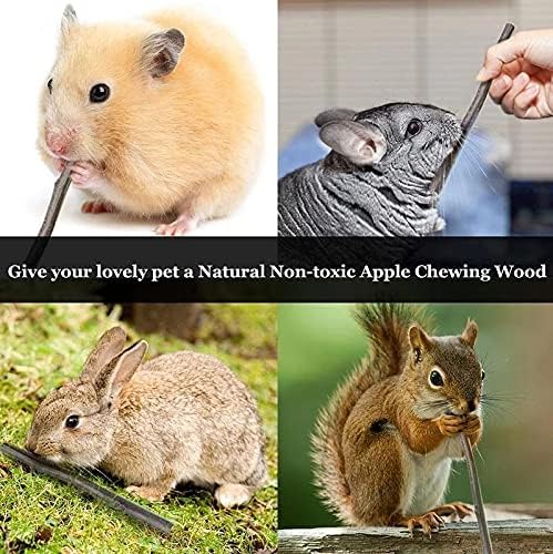 Natural Apple Sticks 10oz(300g) Small Animals Molar Wood Treats Toys Chinchilla Guinea Pig Hamster Rabbit Gerbil Parrot Bunny and Small Animals Chew Stick Toys Treats