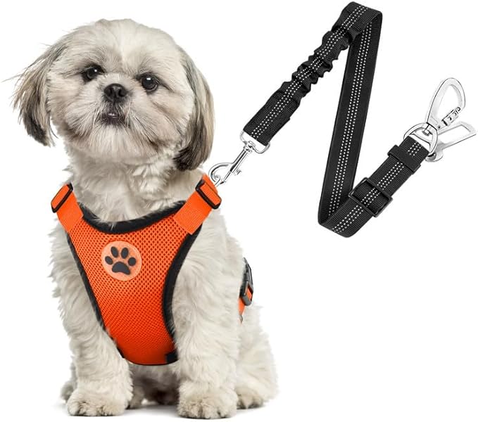 SlowTon Dog Seat Belt Harness for Car, Dog Car Harness Adjustable Mesh Breathable & Dog Seatbelt Safety Tether with Elastic Bungee for Small Medium Large Pets(Orange, Double Clip, XS)