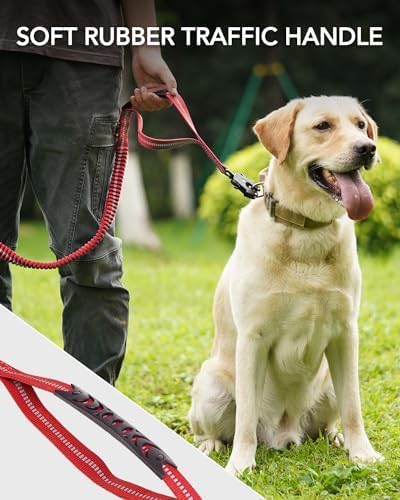 Joytale Tactical Dog Leash Heavy Duty 4-6FT Shock 2 Padded